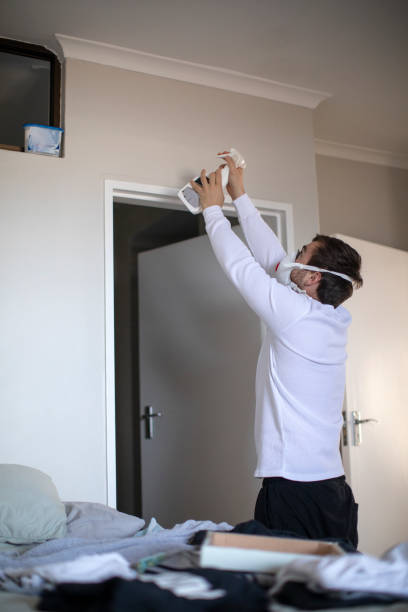 Best Air Quality Testing for Mold Spores  in Lindon, UT