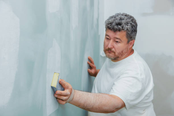 Best Attic Mold Removal  in Lindon, UT