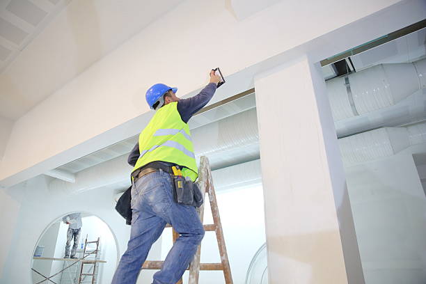 Best Mold Removal for HVAC Installations  in Lindon, UT