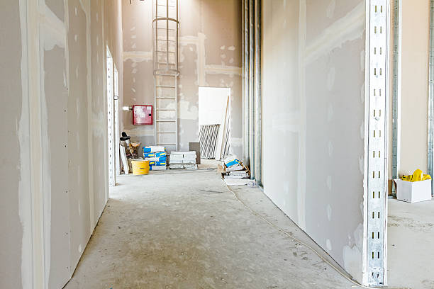 Best Mold-Related Health Consultation  in Lindon, UT