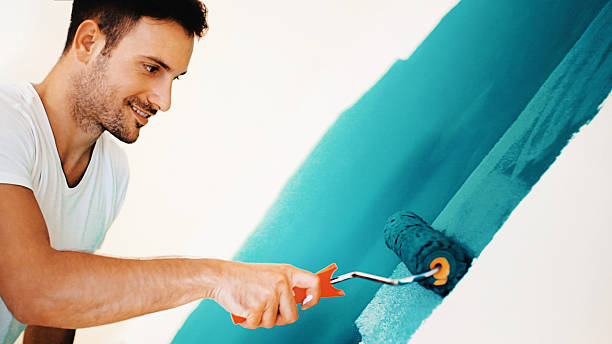  Lindon, UT Mold Removal Pros