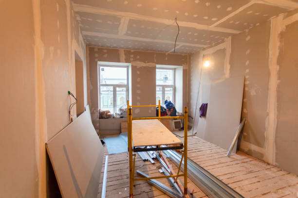 Best Mold Odor Removal Services  in Lindon, UT