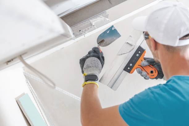 Best Post-Construction Mold Inspection  in Lindon, UT